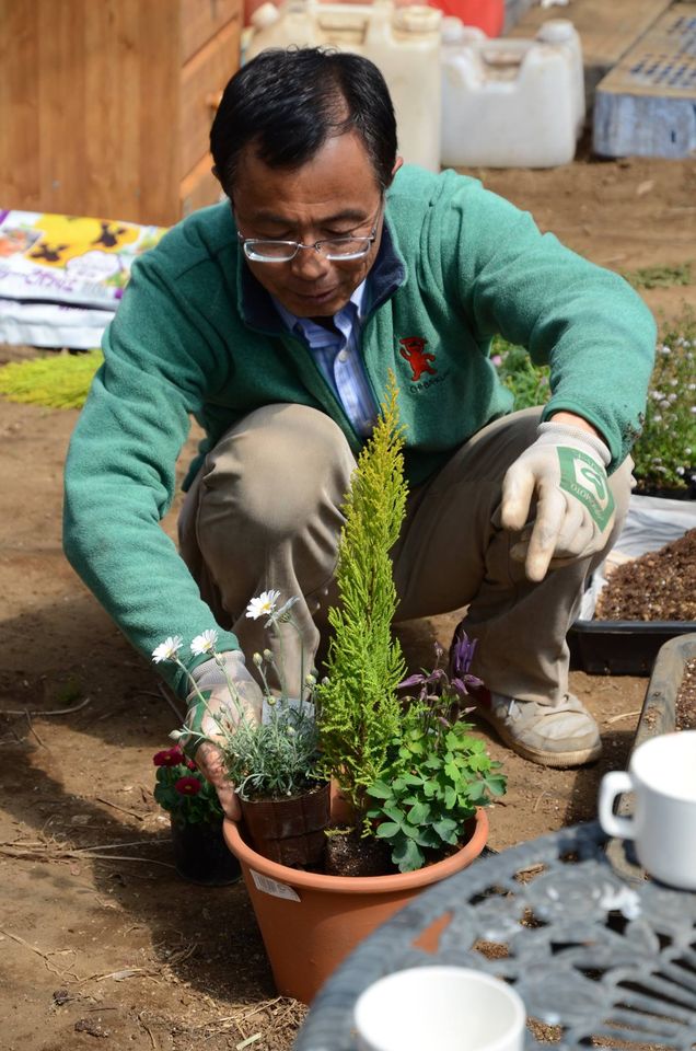 春の寄せ植え体験 17 佐倉ハーブ園