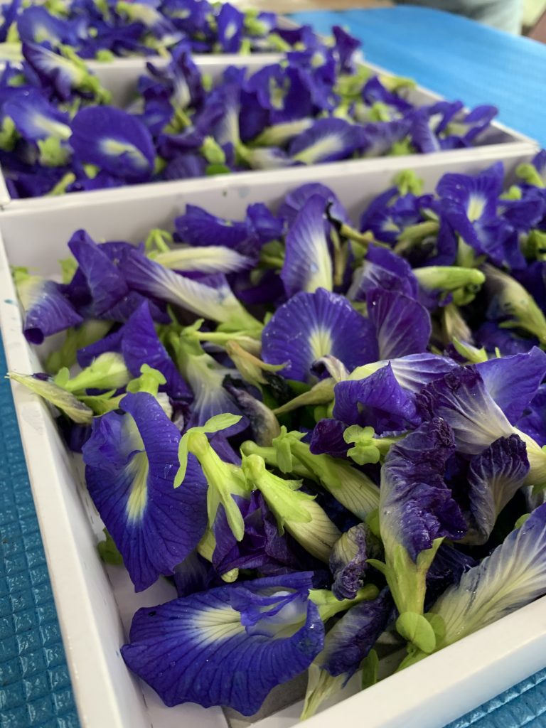 通風乾燥機を使って ヽ O 丿 佐倉ハーブ園