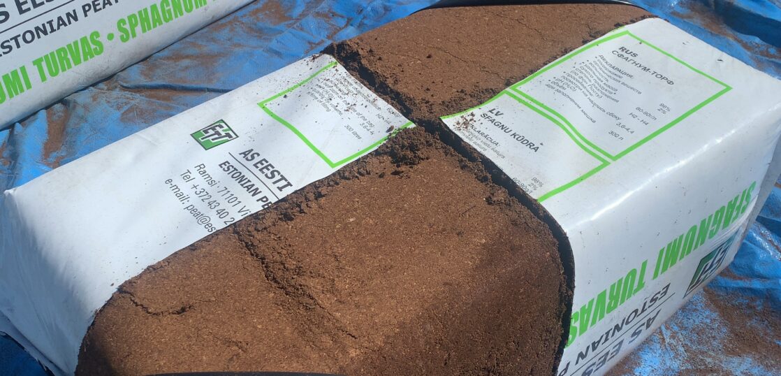 ブルーベリーの土作り 佐倉ハーブ園