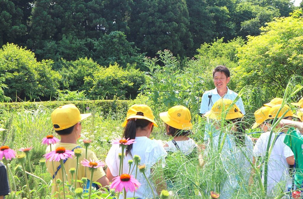 【教育CSR】佐倉市立根郷小学校