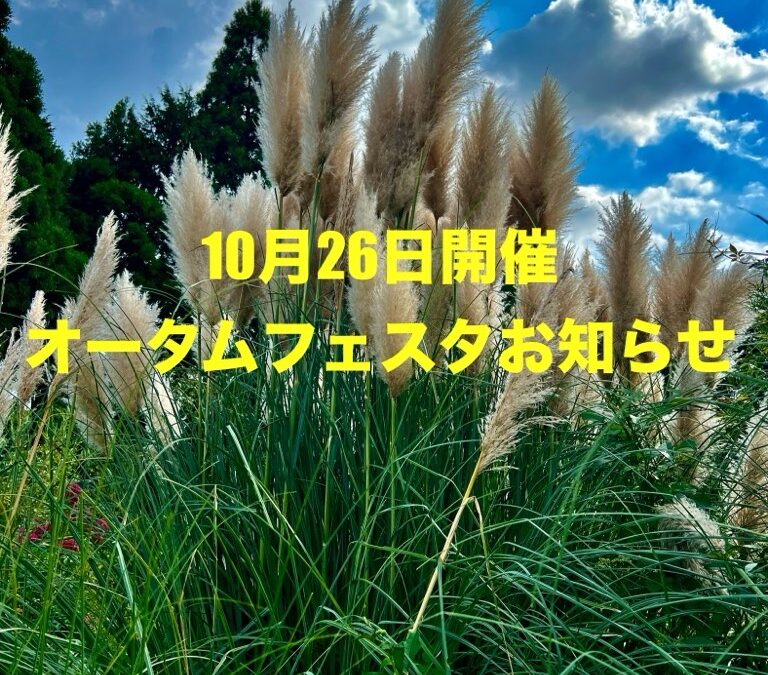 10/26(土)【オータムフェスタ開催のお知らせ】