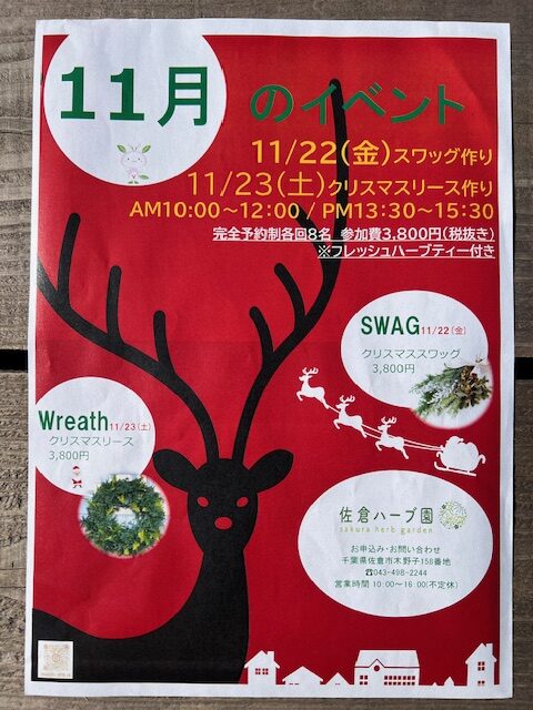 *Workshop Sakura*ヴァイオレットクリスマスリース(特大)