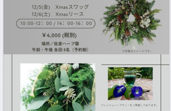 Xmasスワッグ・Xmasリース ワークショップのお知らせ