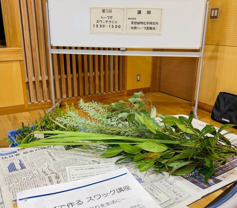 ワークショップ 船橋市浜町公民館