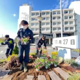 佐倉市役所花壇