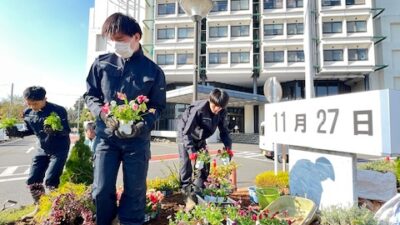 佐倉市役所花壇