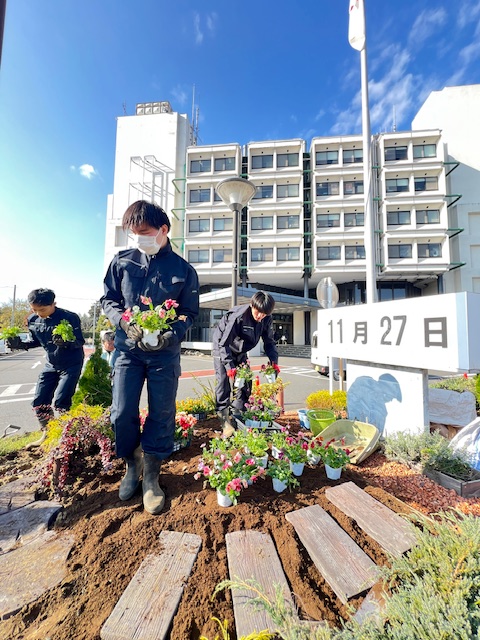 佐倉市役所花壇