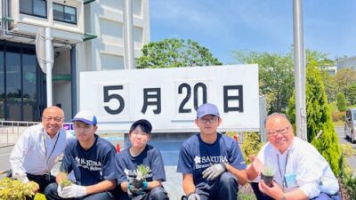 佐倉市役所花壇