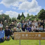 ８月ボランティア活動
