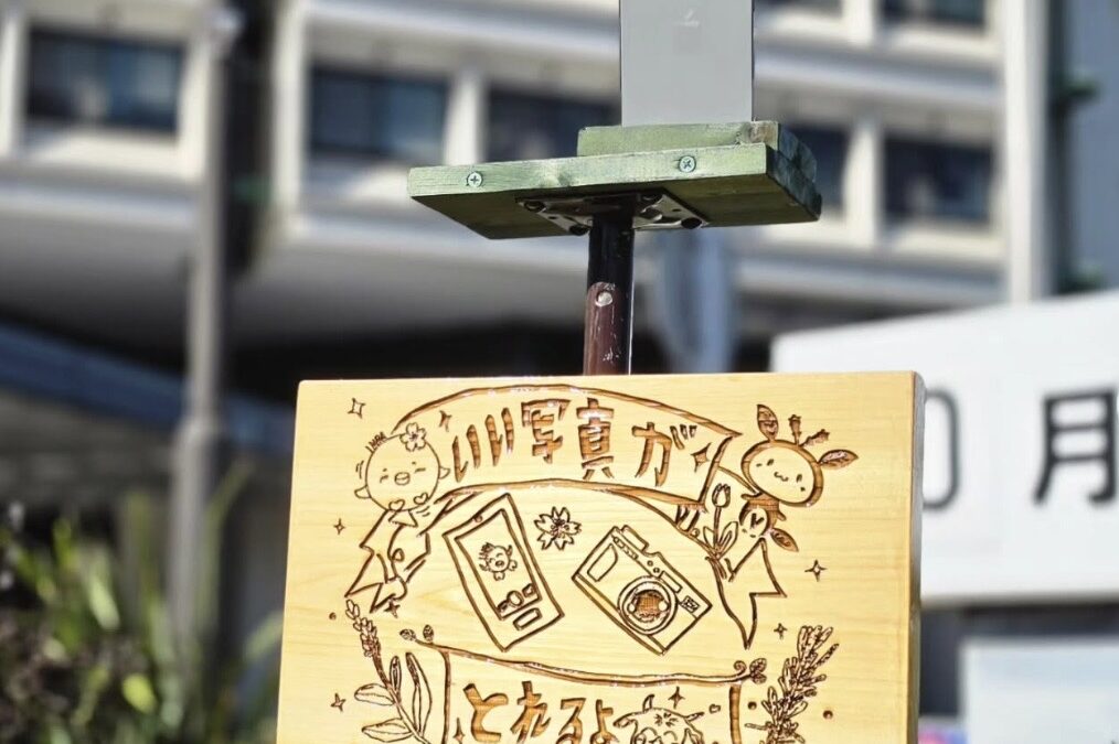 佐倉市役所花壇お手入れ、フォトスタンド設置
